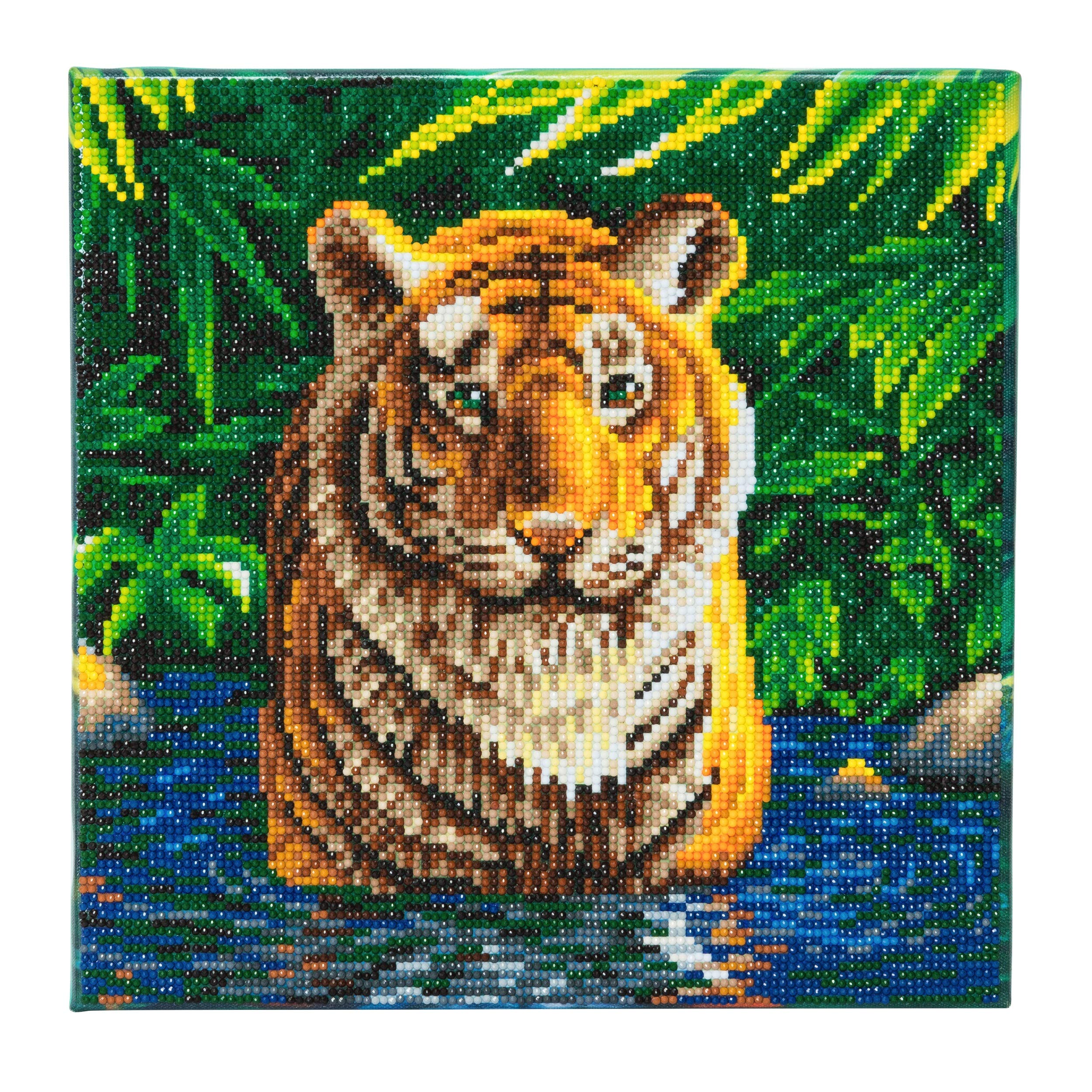 Crystal Art Tiger Pool 30x30cm Framed Crystal Art Kit