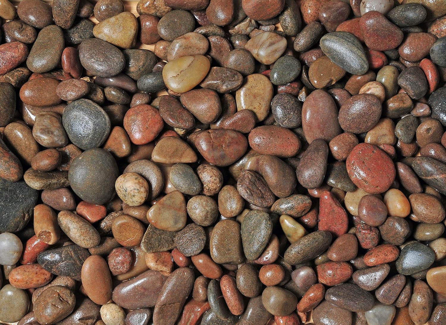 Elixir Gardens Decorative Coloured Stones Scottish Pebbles 20mm40mm