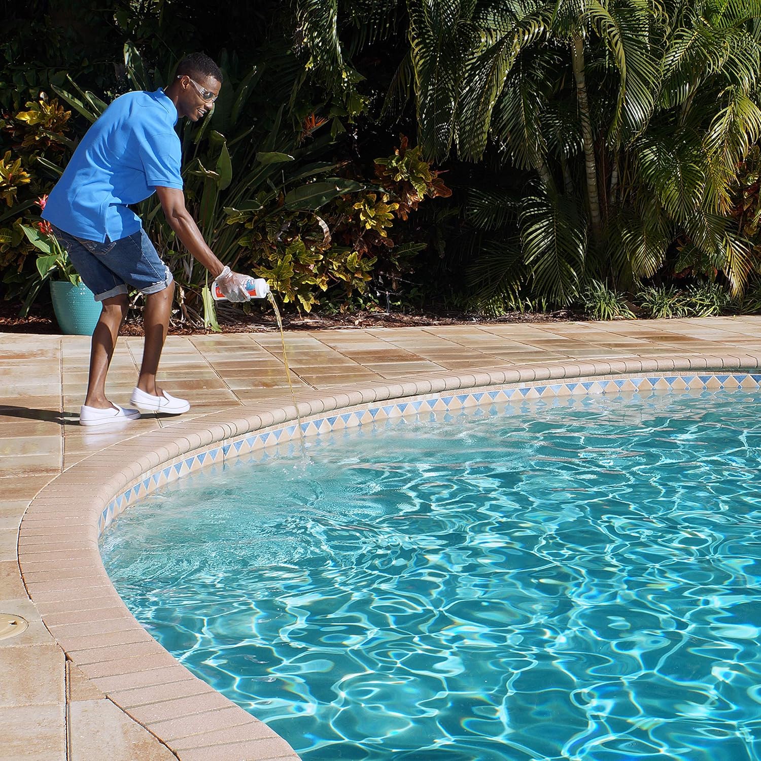 Clorox Pool&Spa 55232CLX Phosphate Remover, 1-Quart, White : Garden & Outdoor