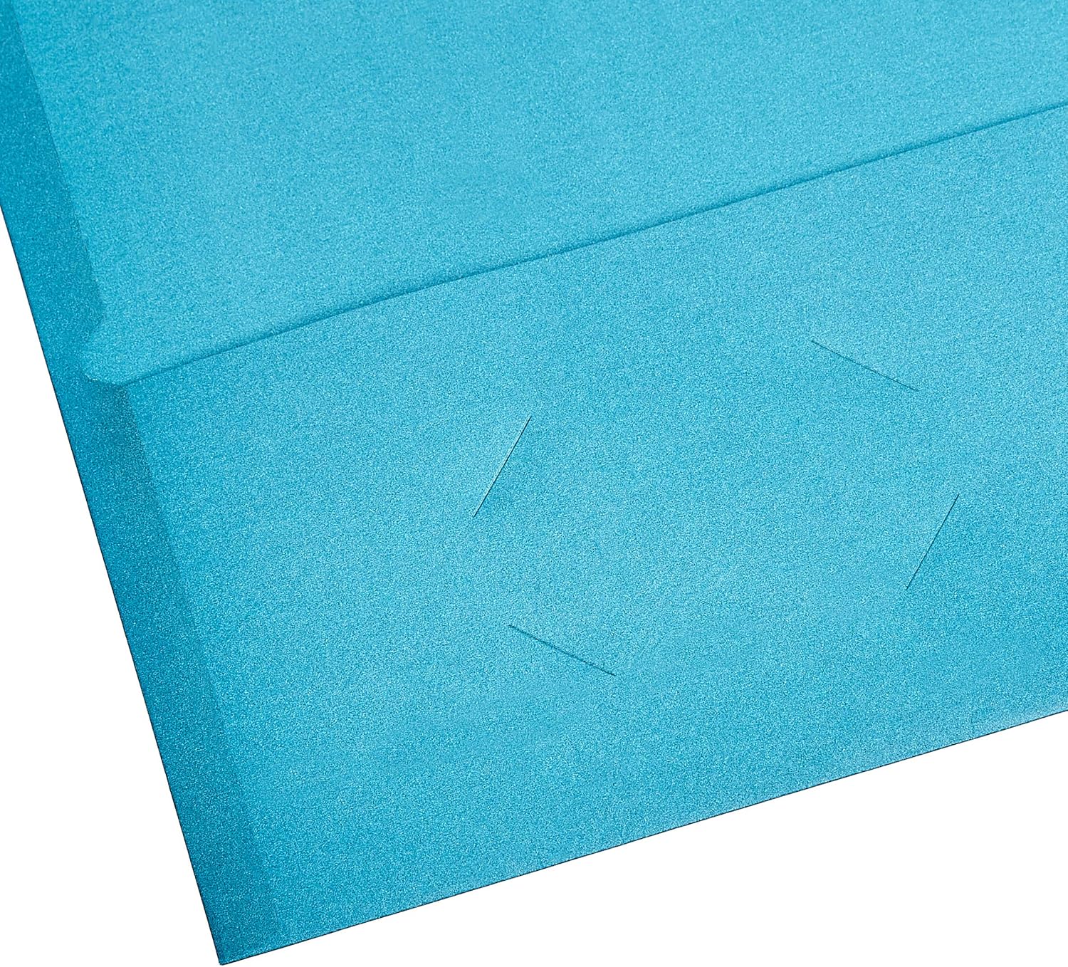 Basics Two Pocket Paper Portfolio, Assorted Colors, 10-Pack : Office Products