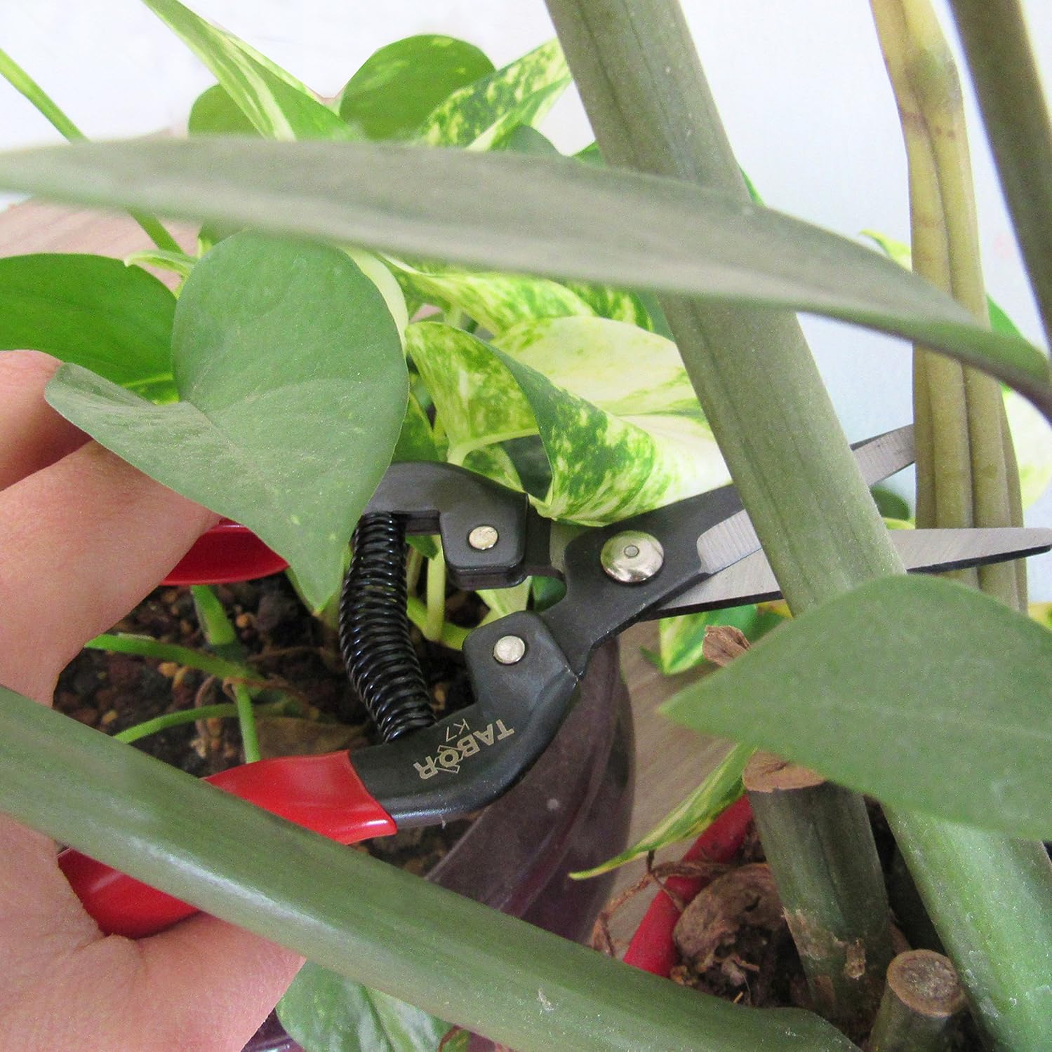 TABOR TOOLS Straight Pruning Shears, Florist Scissors - Image 5