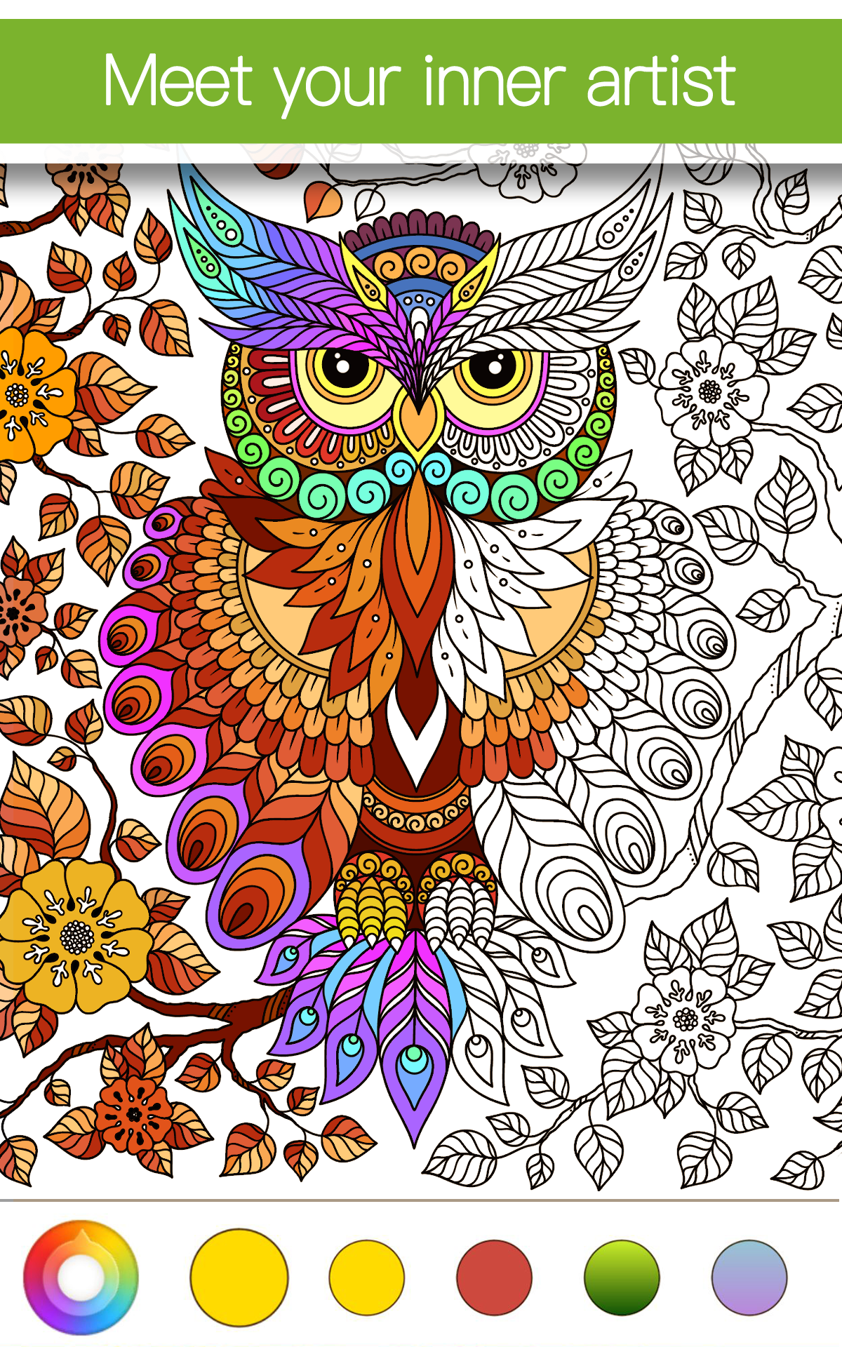 Coloring Apps For Adults Premium Amazon au Appstore For Android