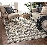 Grey shag rug