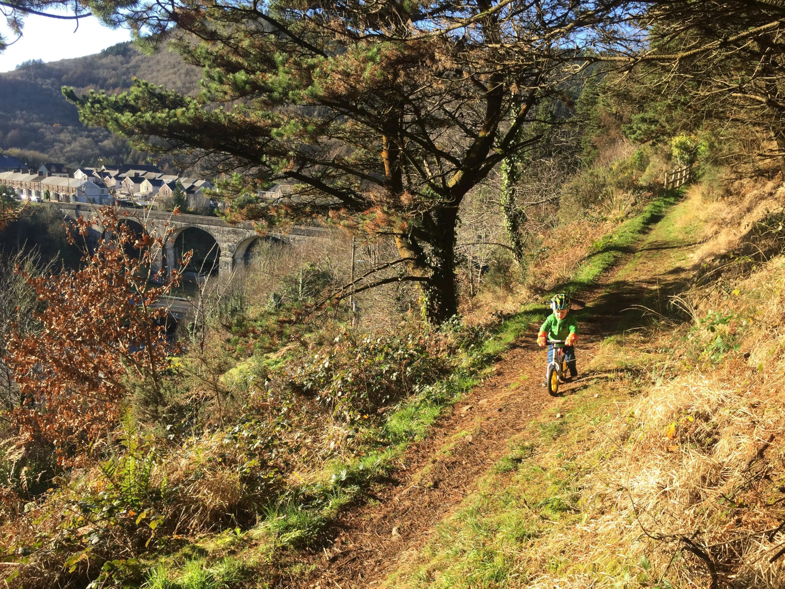 Strider 12” Pro Bike, No Pedal Balance Bicycle for Kids 1 to 4 Years - Includes Safety Pad, Padded Seat, Mini Grips & Flat-Free Tires - Tool Free