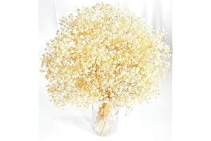 Bannifll Dried Babys Breath: Baby Breath Flower Bouquet with 3000+ Ivory White Dry Flowers, Artificial Bulk Dried Flowers for Vase, Garden Party, and Boho Wedding Decor (17-Inch)