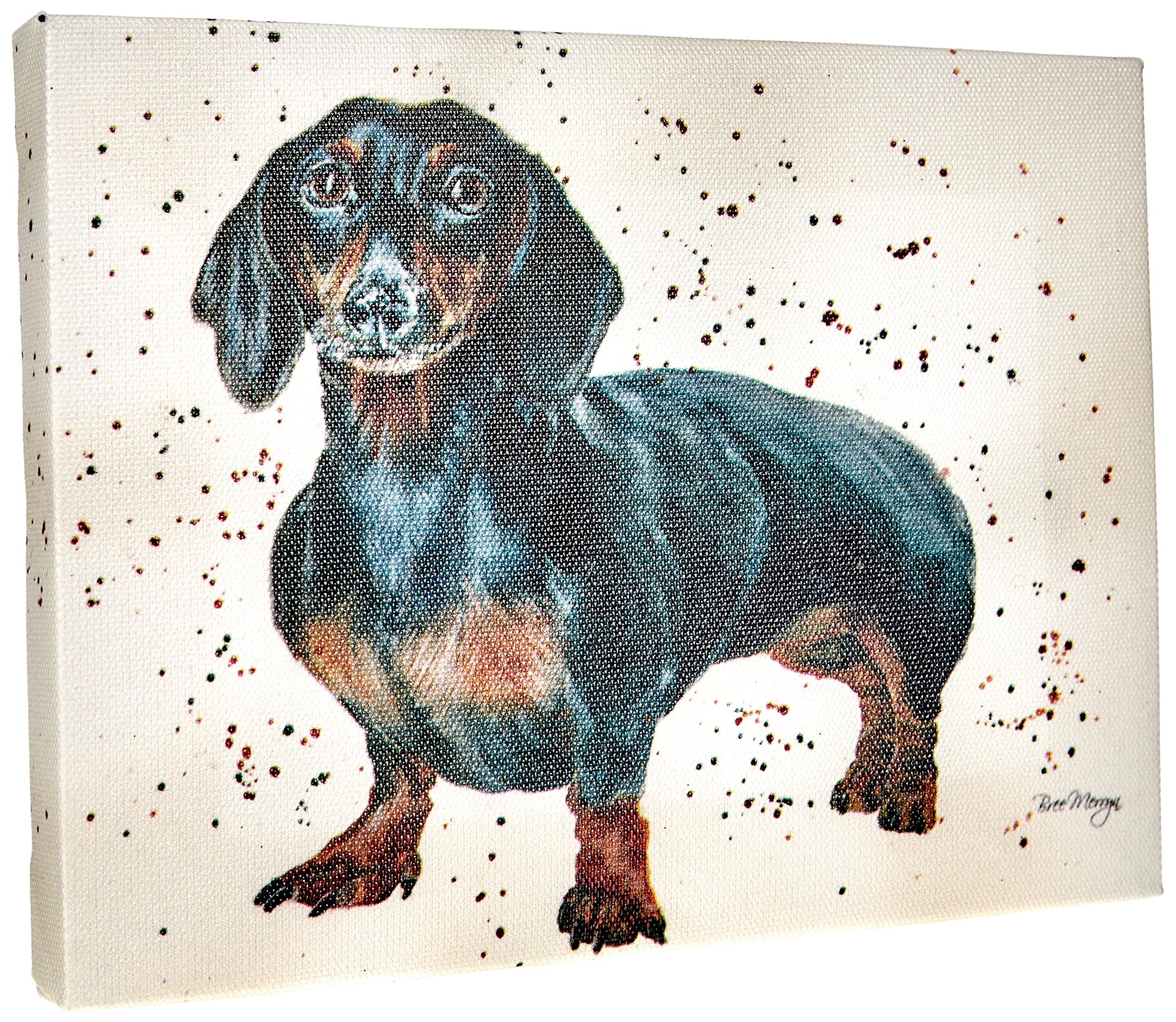 Bree Merryn Dora Canvas Cutie, 15 cm Length x 20 cm Width