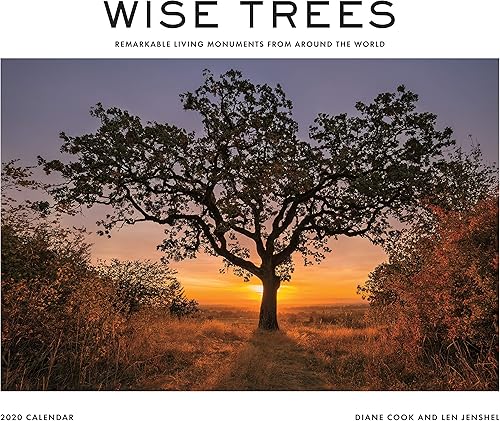 Download Wise Trees 2020 Calendar: Remarkable Living Monuments from Around the World PDF