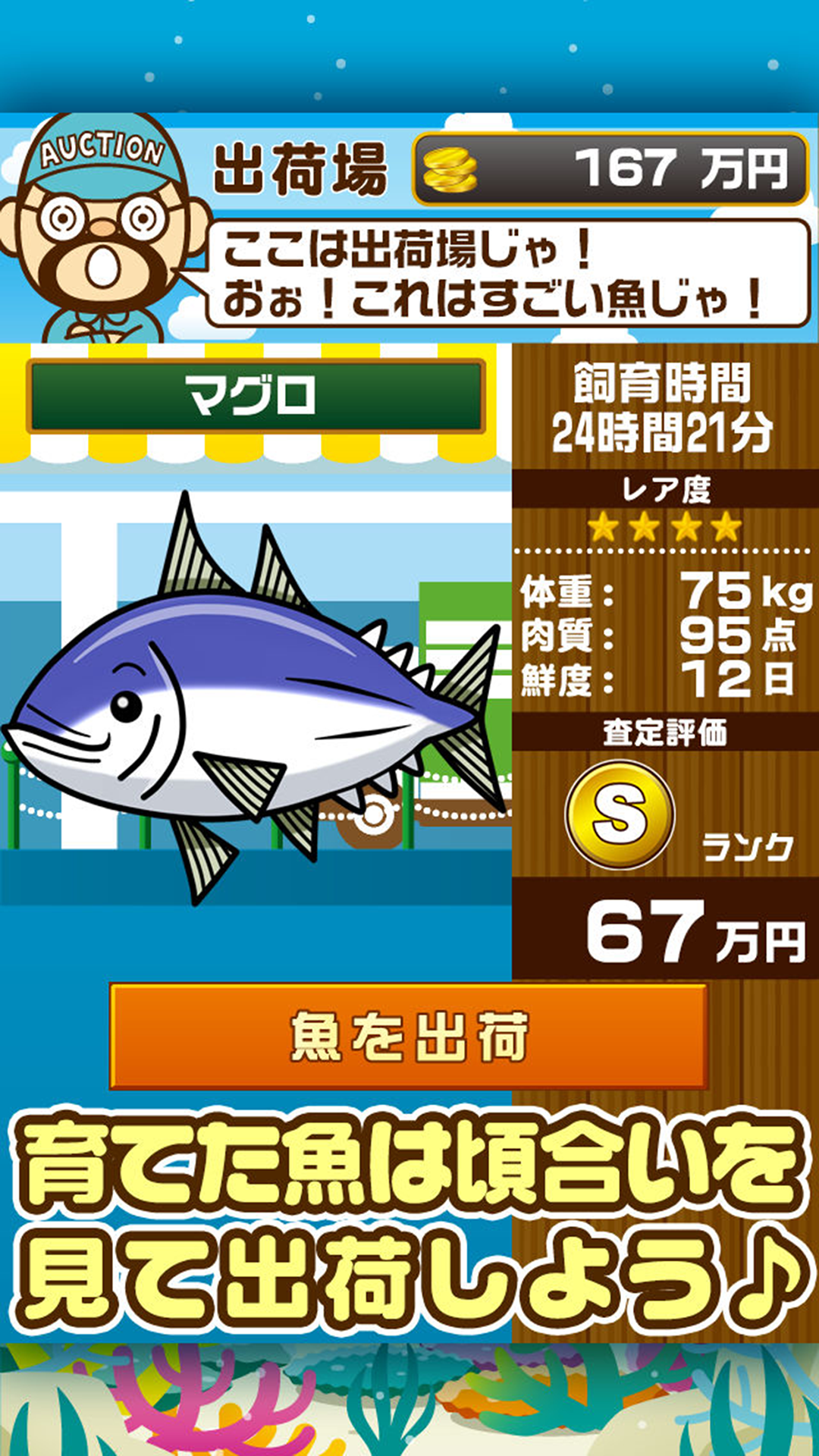 すいぞく館 魚を育てる楽しい育成ゲーム Amazon Co Jp Appstore For Android