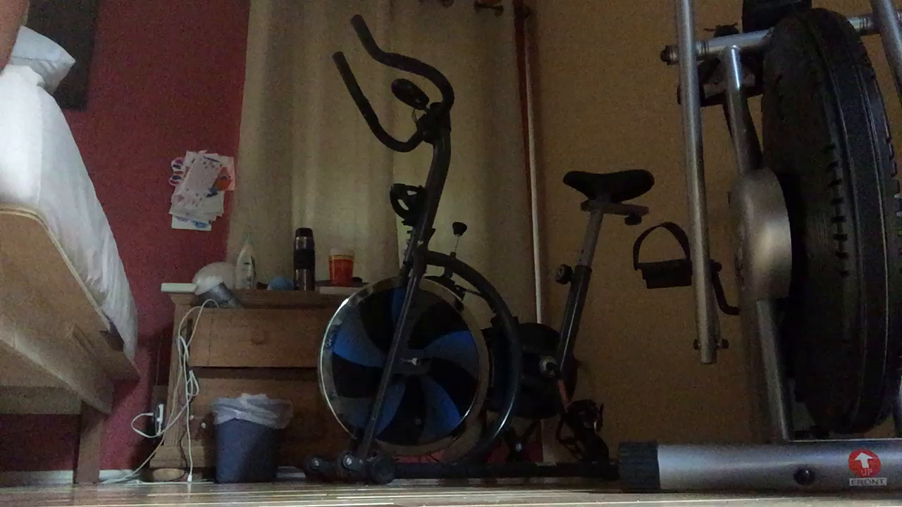 progear 100s exercise bike