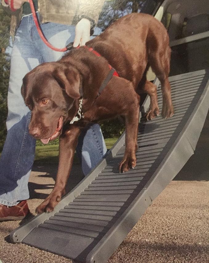 Pet Ramp Dog Ramp Tri Folding Light Weight Amazon.co.uk Pet Supplies