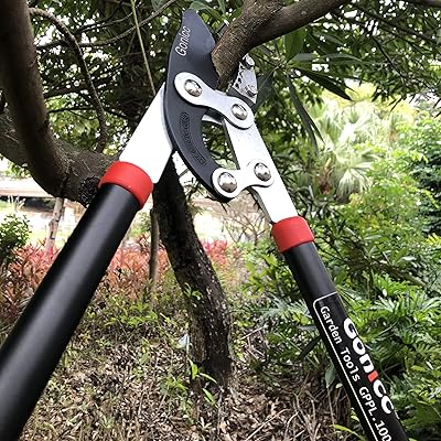 Gonicc 8 professional premium titanium bypass pruning shears gpps 1003 Gonicc 8 Professional Premium Titanium Bypass Pruning Shears Gpps 10 Sofia Imports