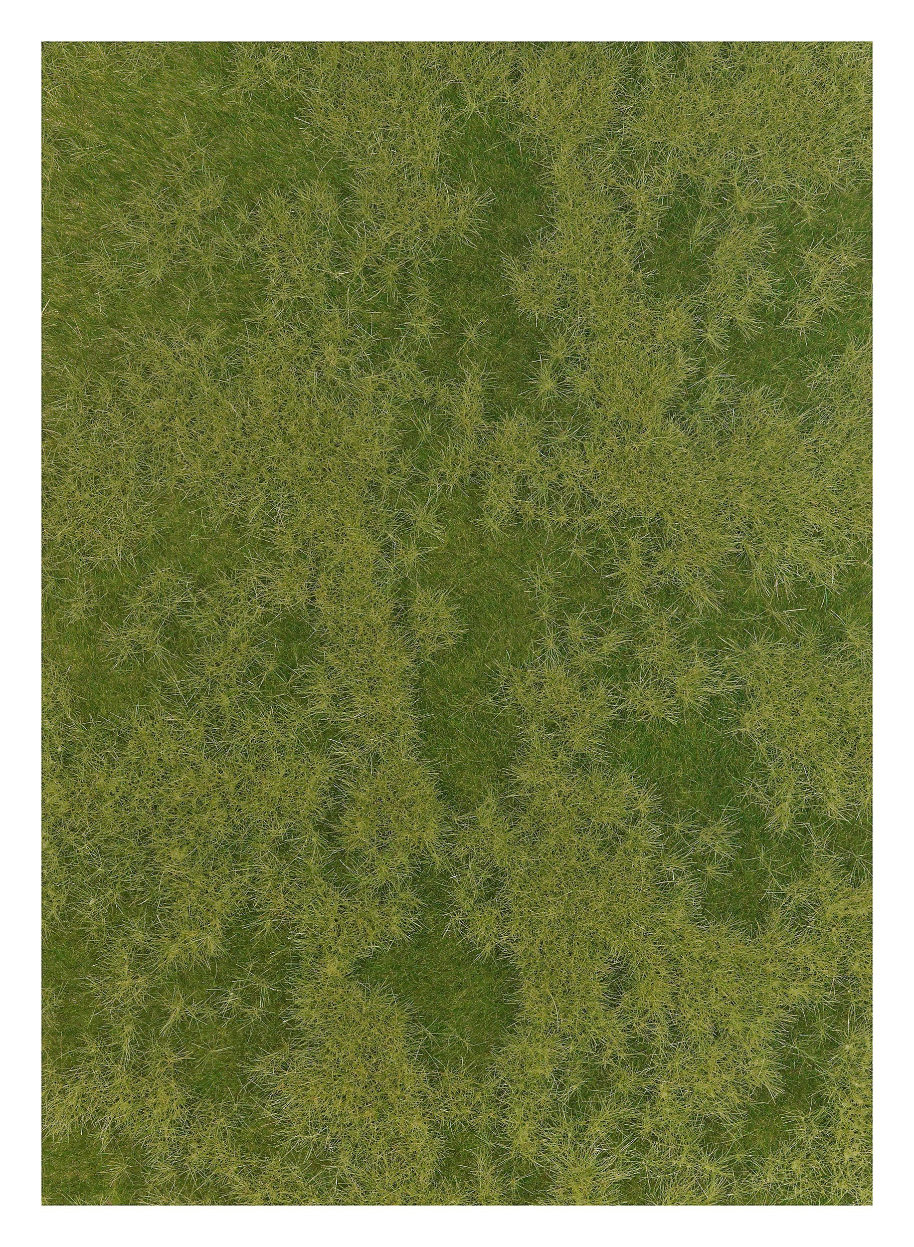 Late Spring/early Summer Grass - Fibre mat 297x210mm