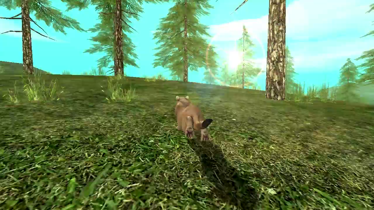 Wild Cougar Sim 3D App on the Amazon Appstore
