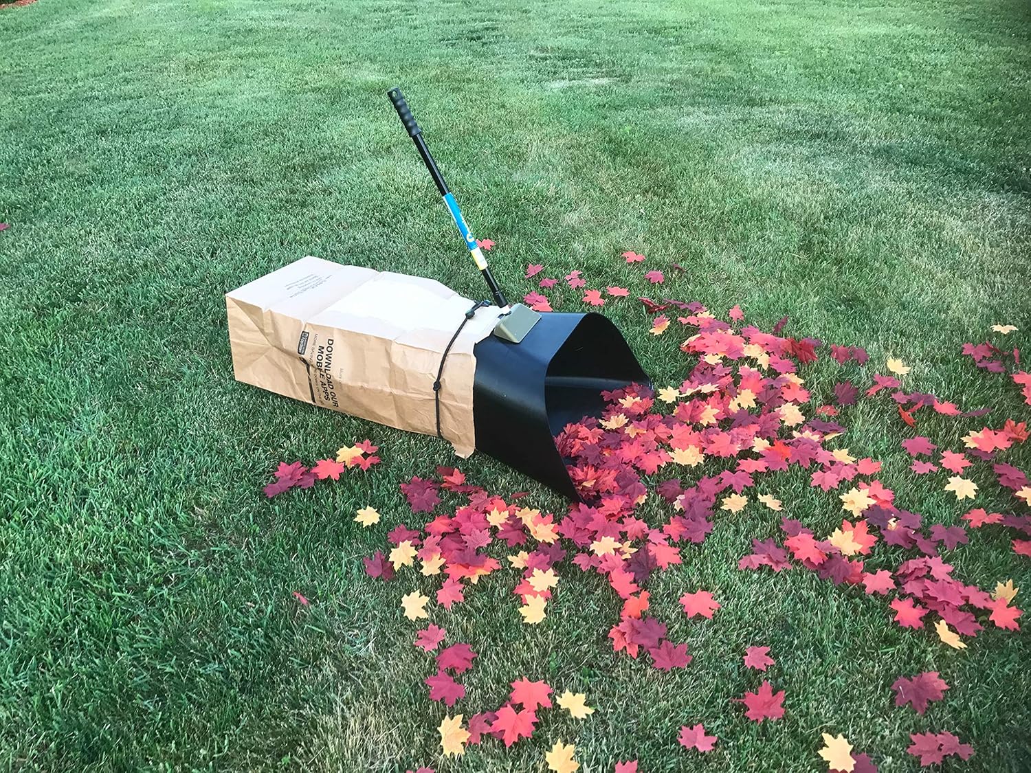 Best Lawn Mower For Picking Up Leaves Dream Home