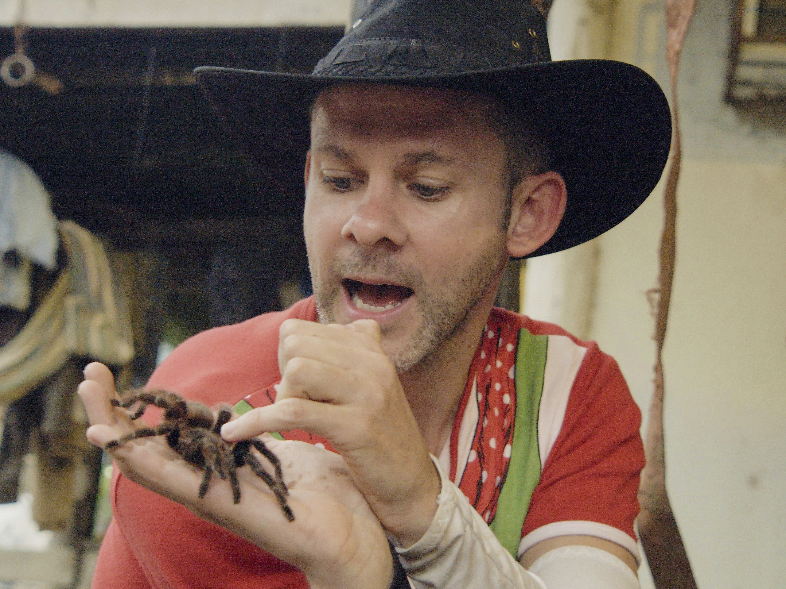 Films Et Séries Tv Avec Dominic Monaghan Watch Wild Things with Dominic Monaghan Season 3 | Prime Video