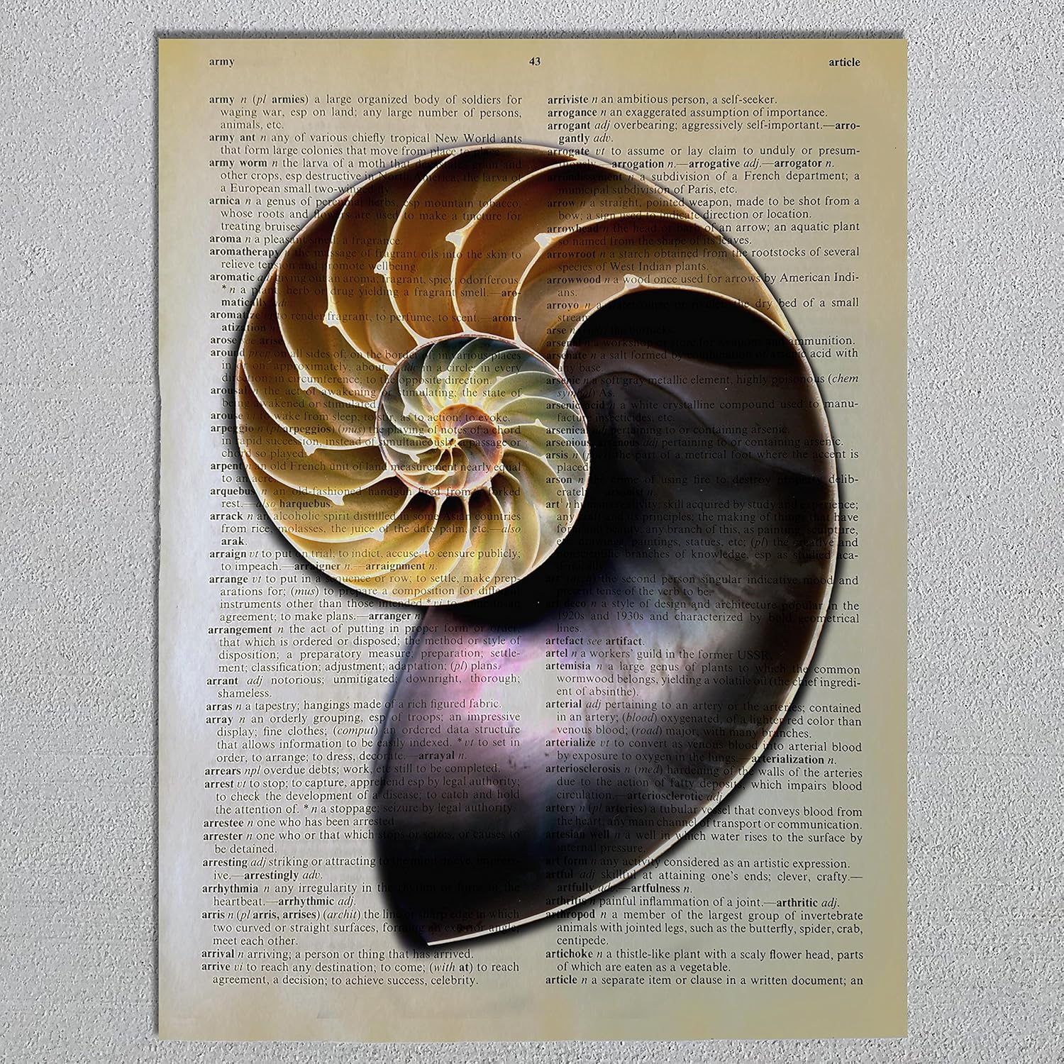 Amazon Com Nautilus Shell Dictionary Page Art Print Handmade