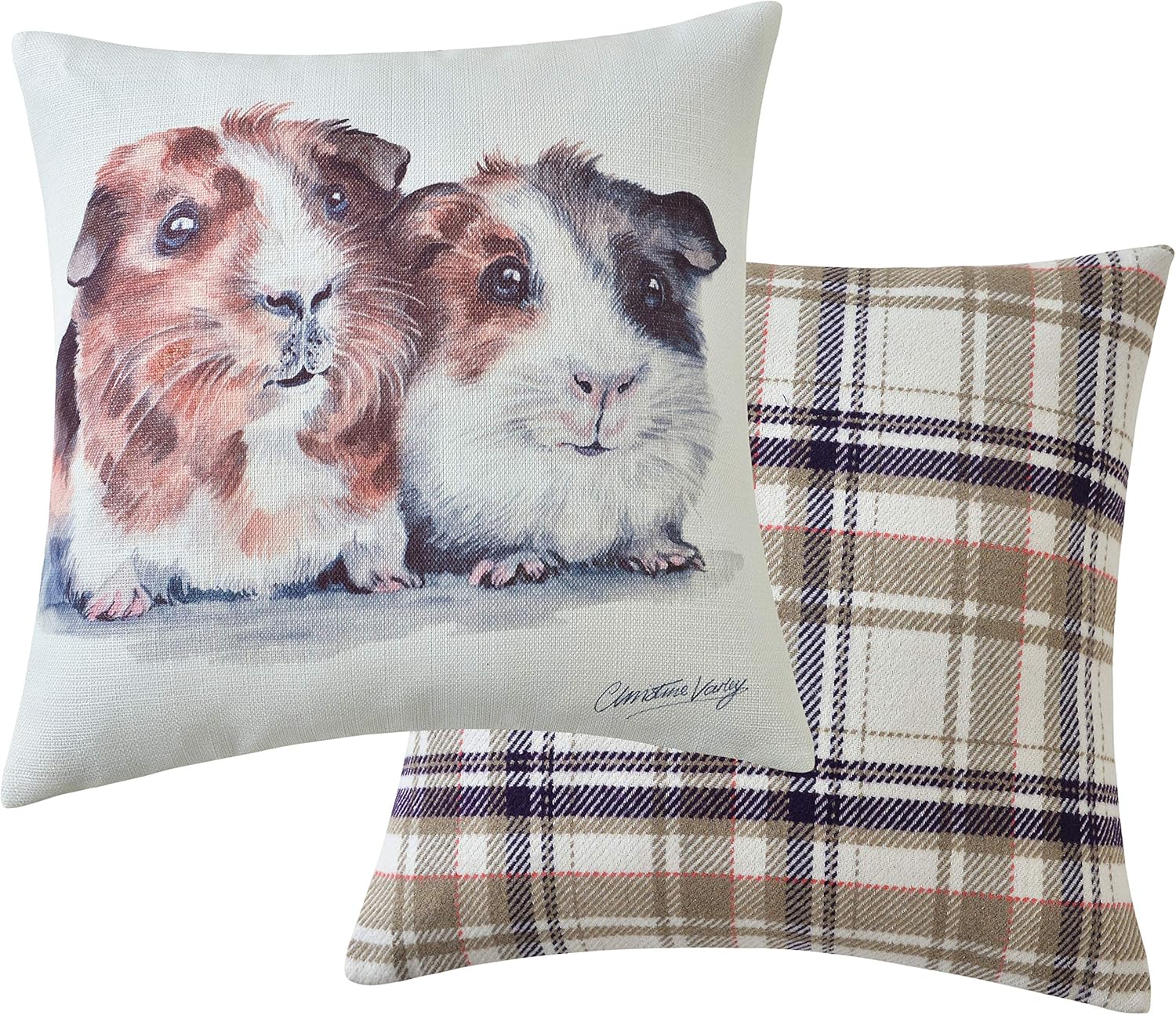 Maturi Filled Seat Cushion with Guinea Pigs Animal Watercolour Image, Chair Sofa Pillow - 43 x 43cm / 17 x 17-inch