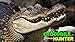 Crocodile Hunter 2014