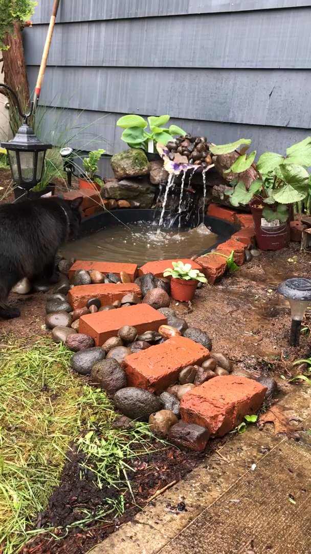 Tuff Stuff Products KMT101 Oval Tank, 40Gallon Tuff