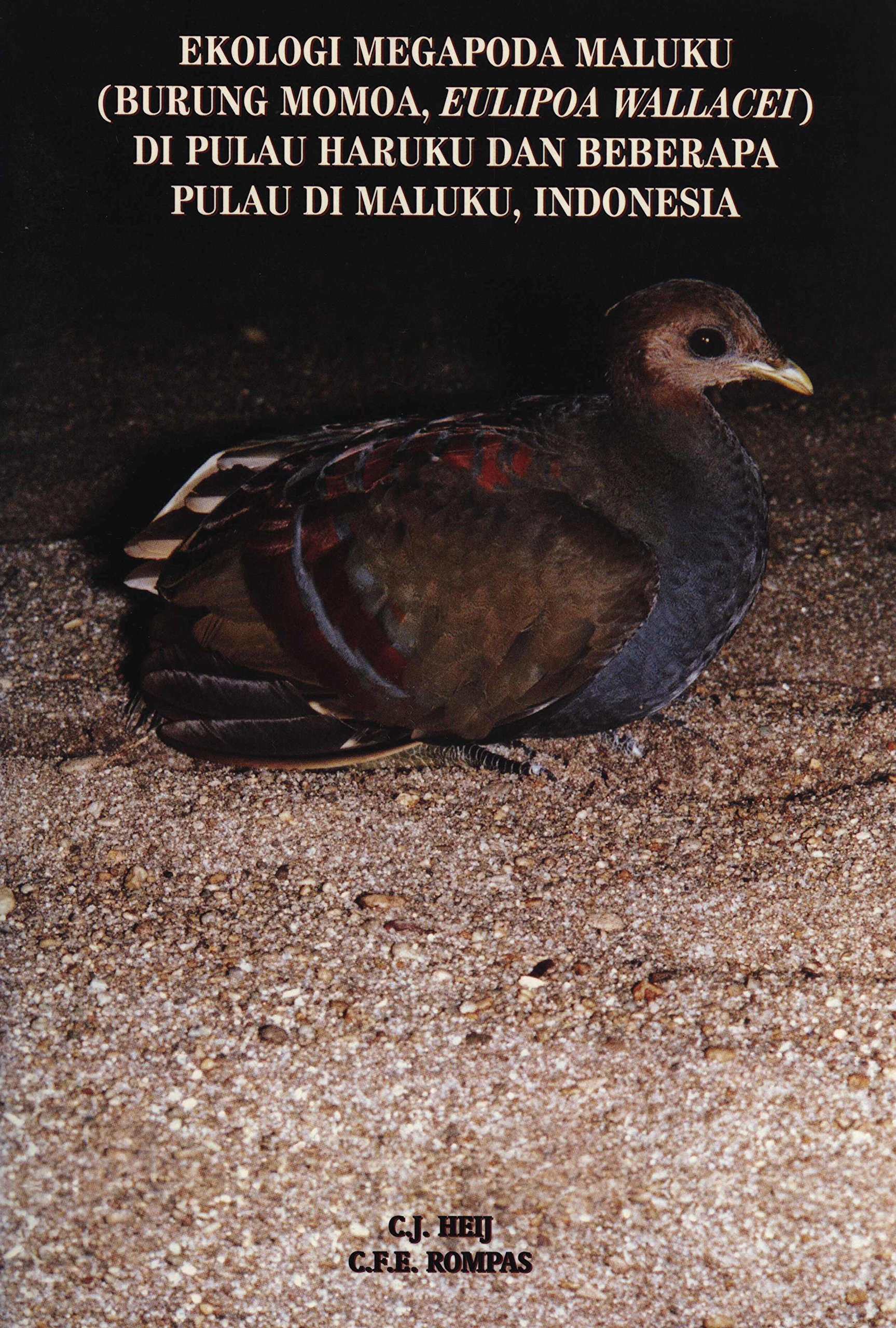 Ekologi Megapoda Malaku Burung Momoa Eulipoa Wallacei Di Pulau