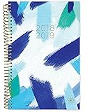 Bloom Daily Planners 2018-2019 Academic Year Day Planner - Monthly and Weekly Calendar Book - Inspirational Dated Agenda Organizer - (August 2018 - July 2019) - 6" x 8.25" - Blue Strokes