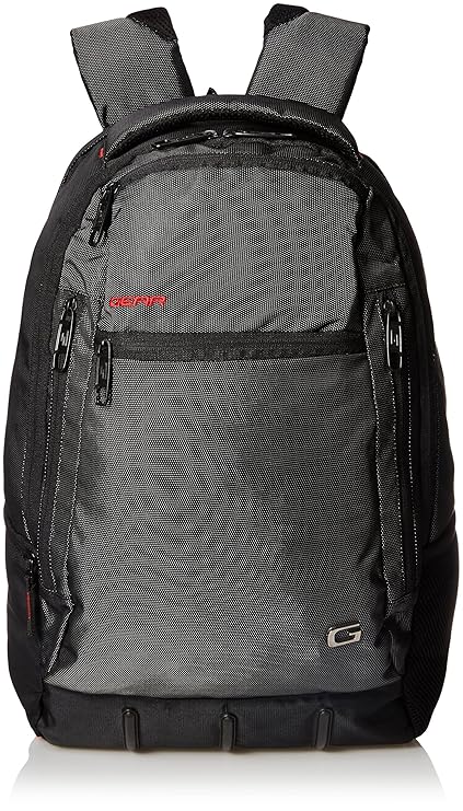 Gear Polyester 29 ltrGrey and Red Laptop Bag (LBPRAINCV0409)