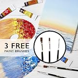 KOLOR KINGDOM 12 Colour Acrylic Paint Set with 3 Brushes view 2