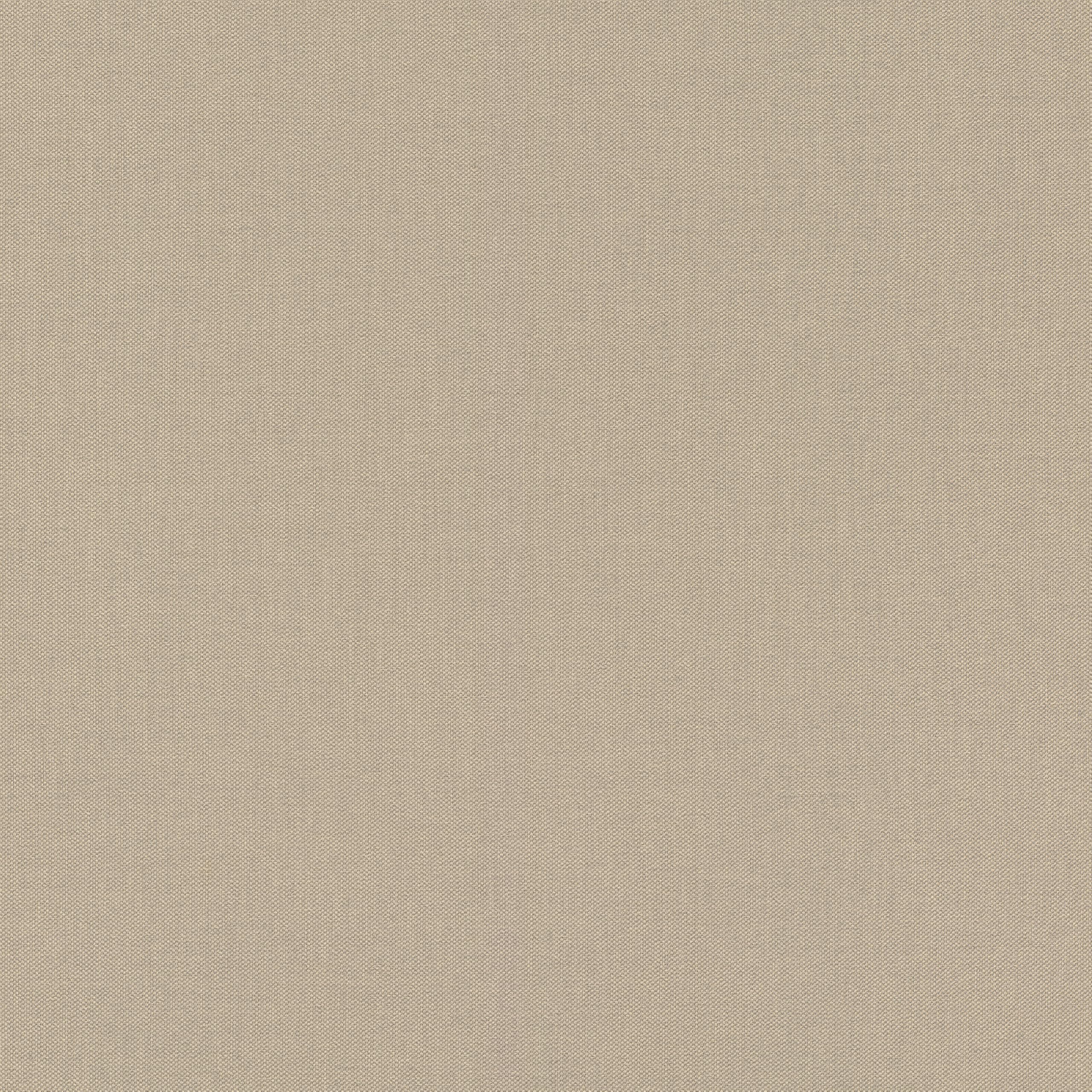 Rasch Tapeten Vliestapete (universell) Brown Beige 10,05 m x 0,53 m Poetry 423921