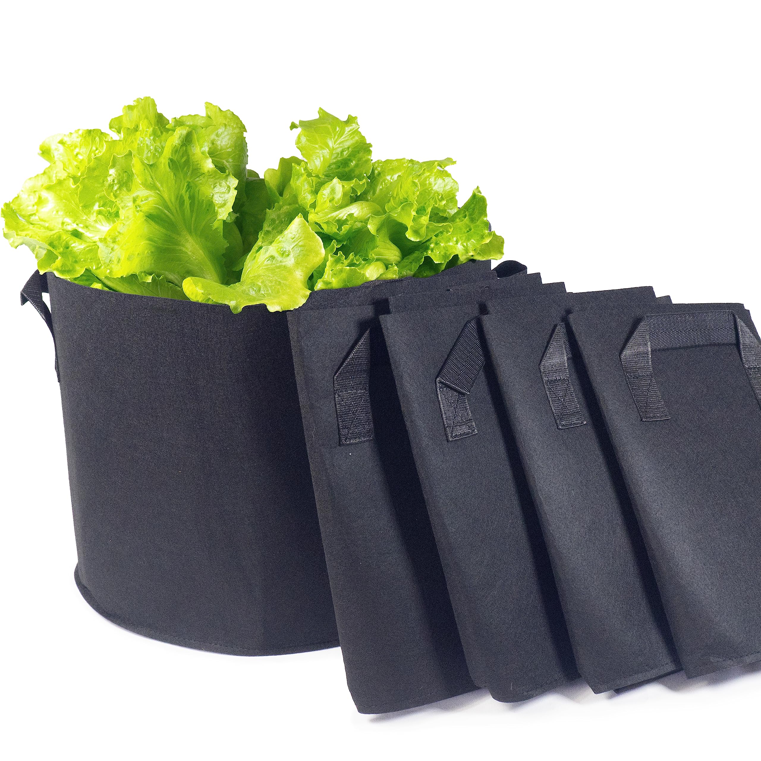 Greenology 10-Gallon Pack of 5 Root Control Greenhouse Plant Grow Bags with Handle - Nonwoven Breathable Fabric - Heavy Duty for Potato Tomato Orchid