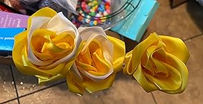 Review Image by Kindle Customer Kindle Customer