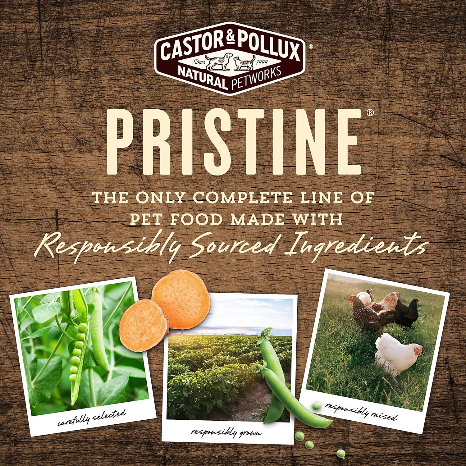 castor and pollux salmon dog food