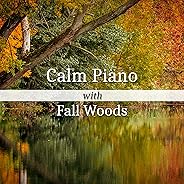 Calm Piano with Fall Woods: Relaxing Music & Nature Sounds, Healing Water, Birds Atmosphere, Thunderstorm and Wind, Rest Aft