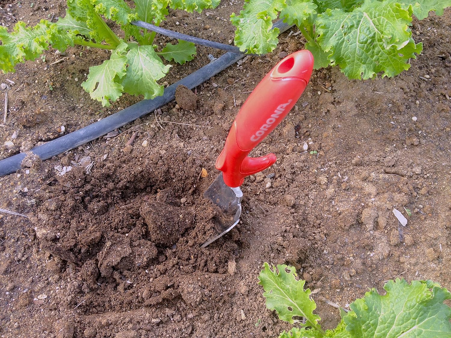 Corona CT 3234 ComfortGEL Cultivator : Garden & Outdoor