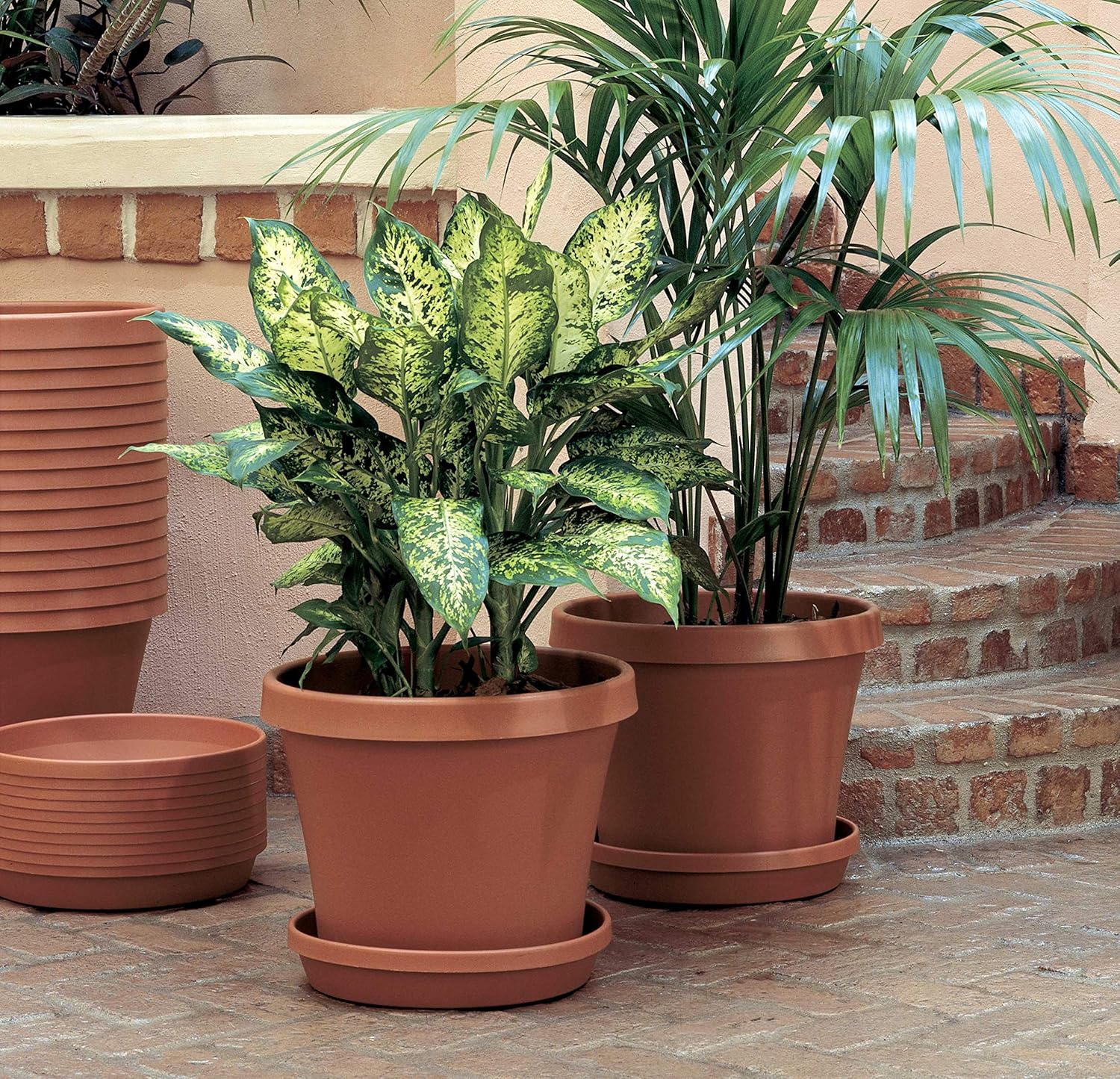 Bloem Terra Plant Saucer Tray 20" Living Green : Garden & Outdoor