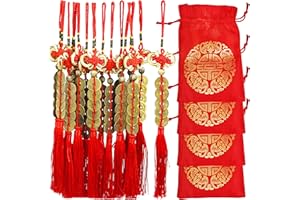 Supla 16 Pcs Chinese Lucky Coins Decorations Feng Shui Coins Ornaments Hanging Good Fortune Coins Ornaments Red Chinese Knot Luck Charm and fu Bags for Asian Lunar New Year 2025 Year of The Snake