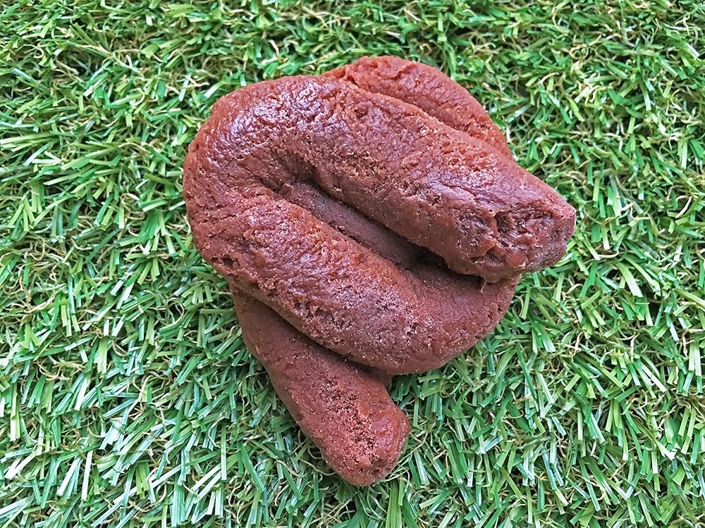 Dog Poop Soap, Handmade Soap, Gift from the Dog, Prank Gift