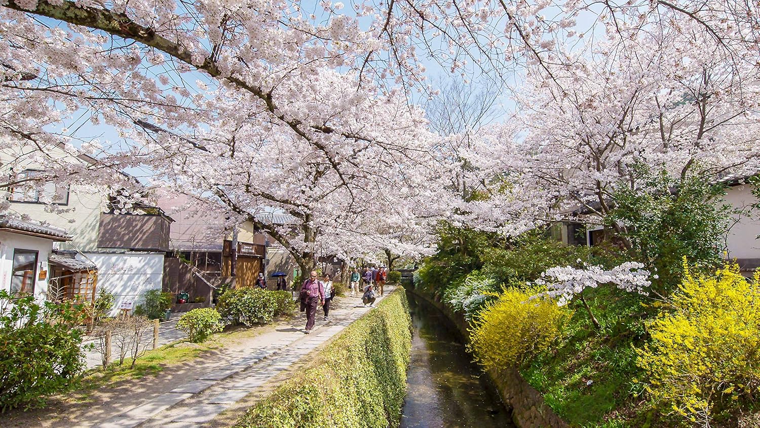 Amazon Co Jp 4k さくら Hdr 春を彩る 華やかな桜のある風景 Ultra Hd Blu Ray Dvd ブルーレイ ビコム 4k Hdr Ultra Hd Blu Ray Amazon Co Jp 4k さくら Hdr 春を彩る 華やかな桜のある風景 Ultra Hd Blu Ray Dvd ブルーレイ ビコム 4k Hdr Ultra Hd Blu Ray