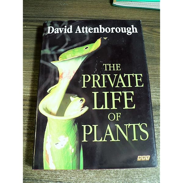 Amazon.com: Private Life Of Plants : Movies & TV