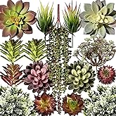miltonson Artificial Succulent Plants Fake Assorted - 16 Pack - Unpotted Face Succulent Plants - Realistic Textured Succulents Picks - Fake Plants for Decoration - Faux Aloe Cactus Plant Bulk