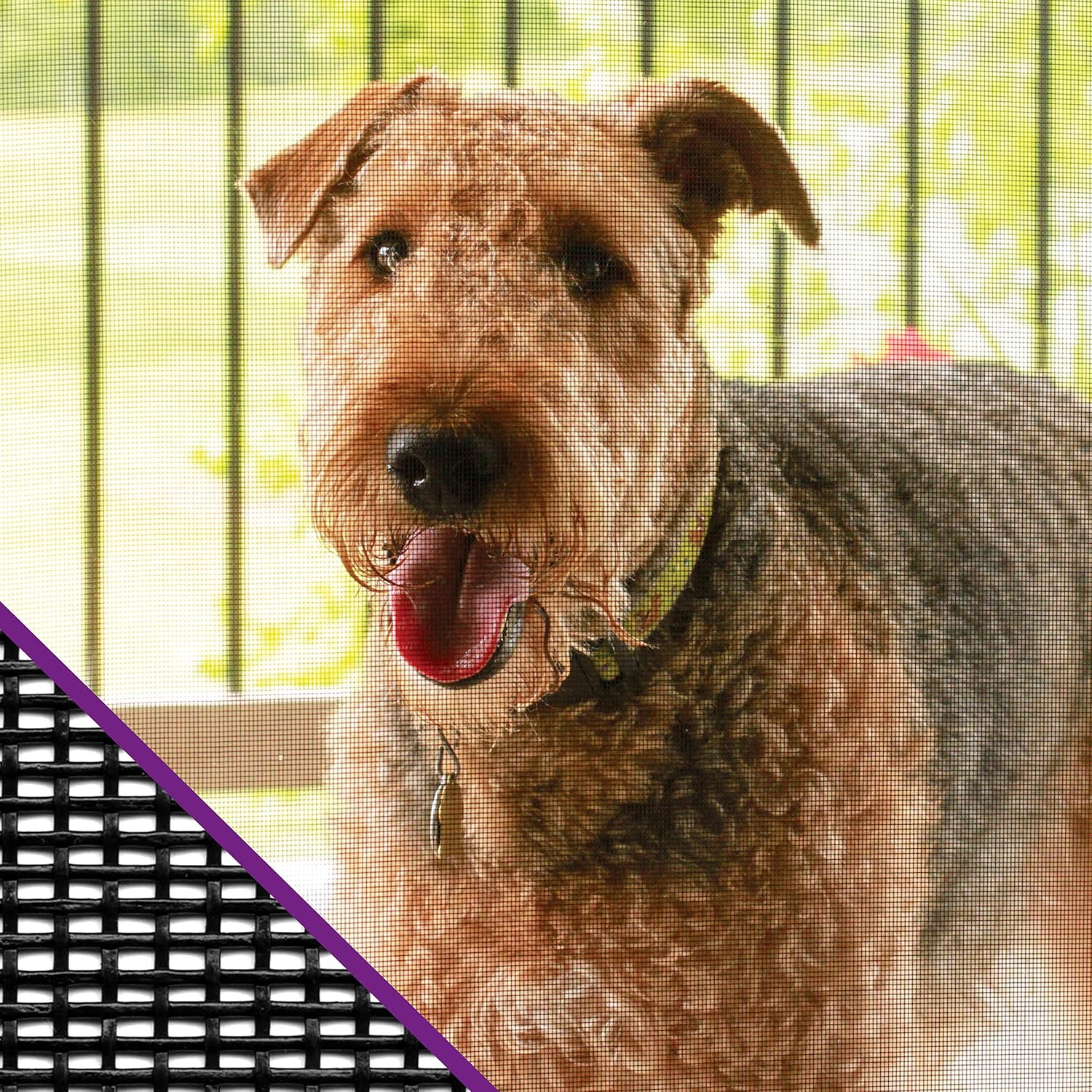 Saint-Gobain ADFORS FCS8988-M Premium Pet Screen, 36" x 84", Charcoal - Window Screens - 
