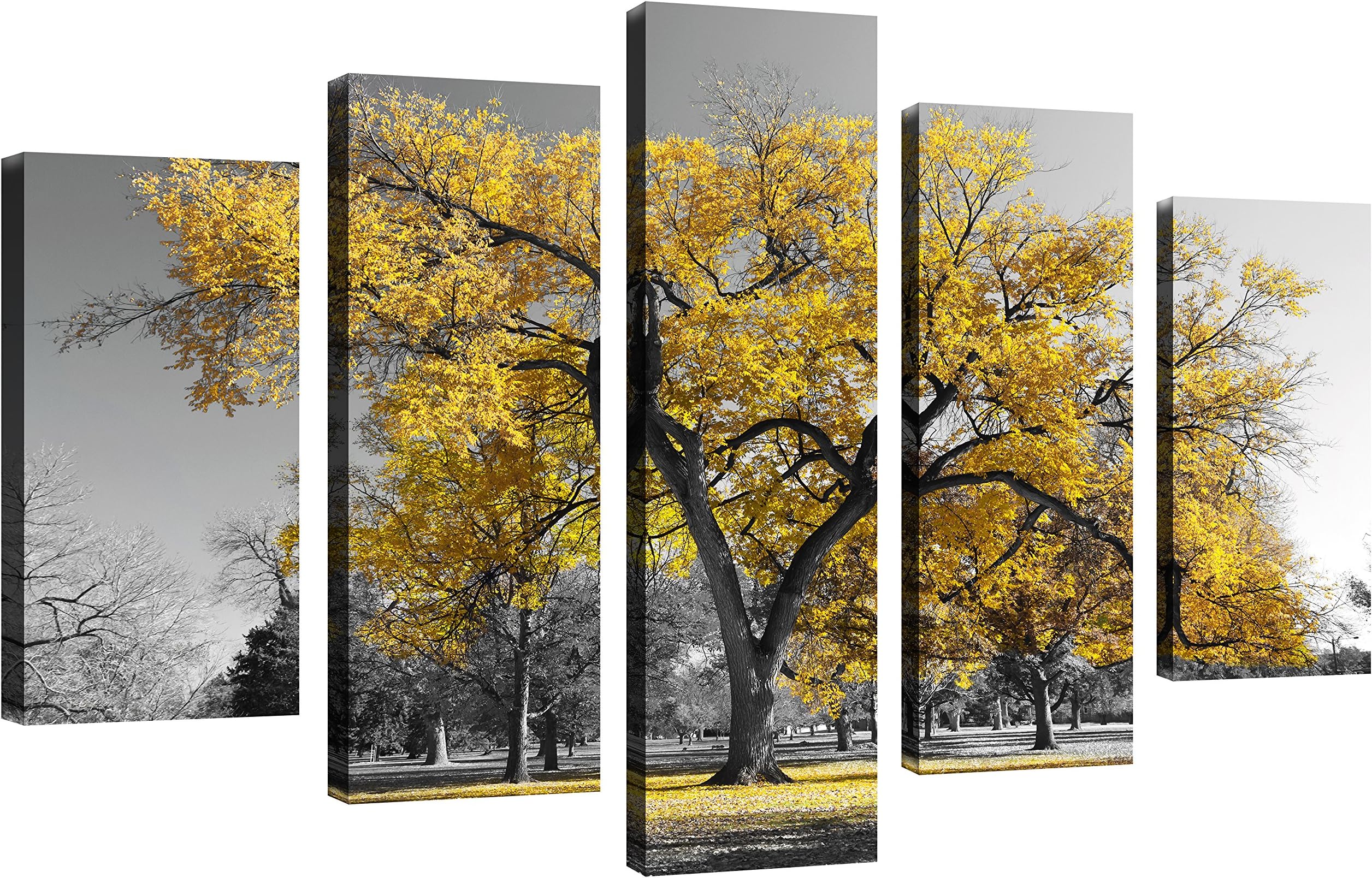 QICAI TutuBeer 5 Panel Canvas Print Wall Art Painting Contemporary Yellow Tree In Black And White Style Fall Landscape Picture Modern Giclee Stretched And Framed Artwork Vintage Wood Style, 5 pcs/set