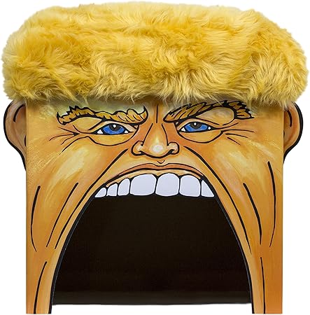 shih tzu for dummies