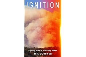 Ignition: Lighting Fires in a Burning World