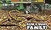 Snake Simulator