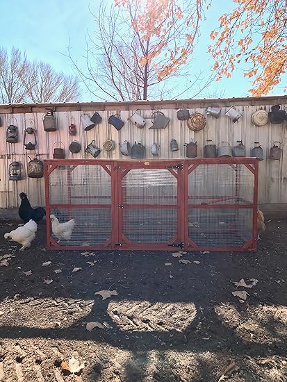 Free chicken coops plans Amazoncom Chicken Coop