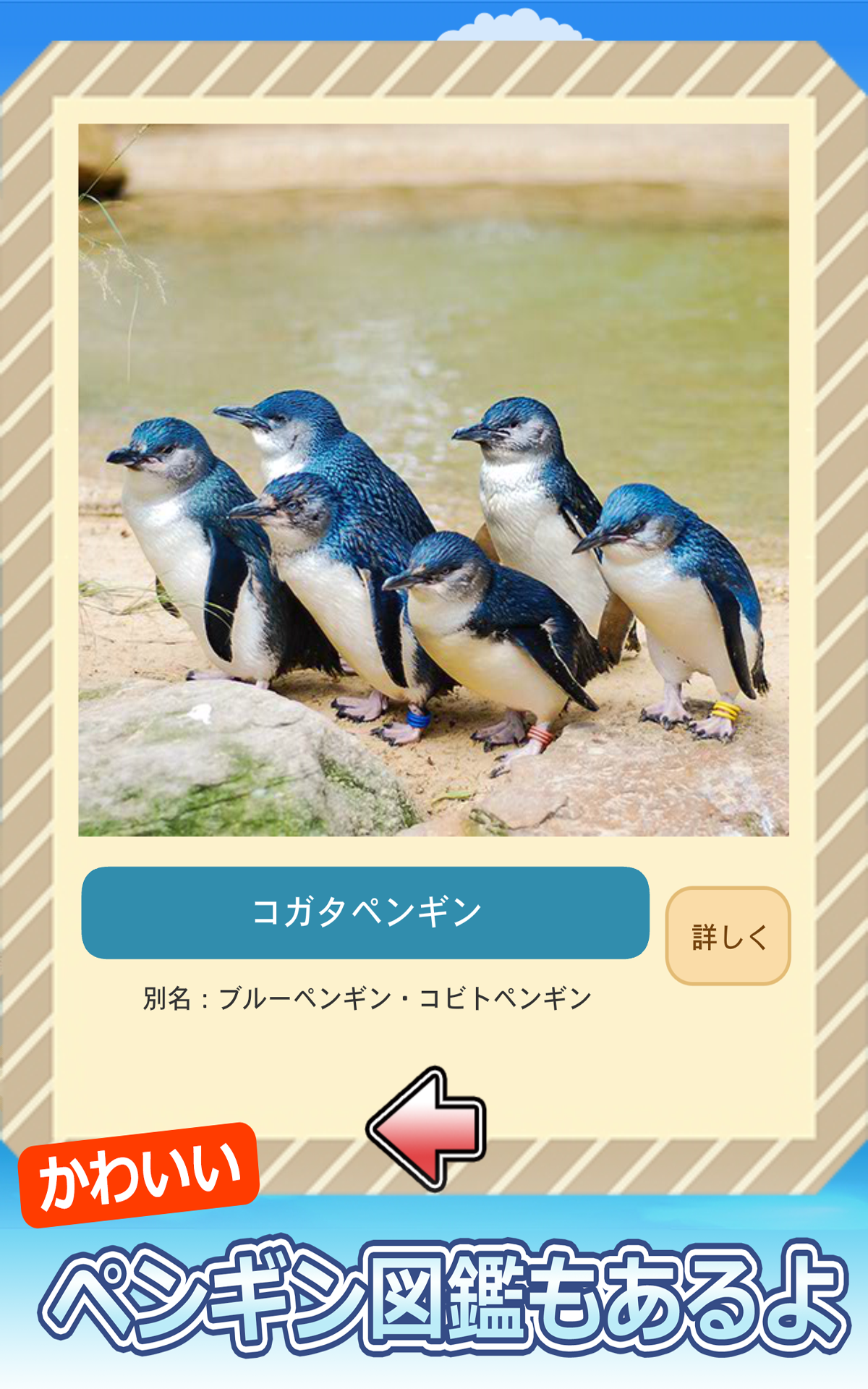 釣りペンギン Amazon Co Jp Appstore For Android 釣りペンギン Amazon Co Jp Appstore For Android