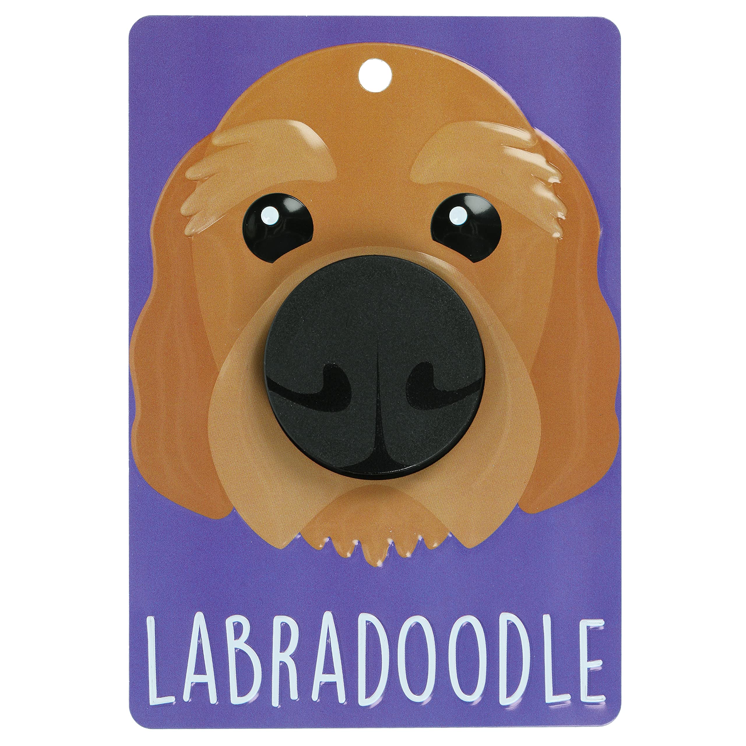 Pooch Pals Labradoodle Dog Lead Holder Wall Mounted Plaque Pop-Out Hook Hanger