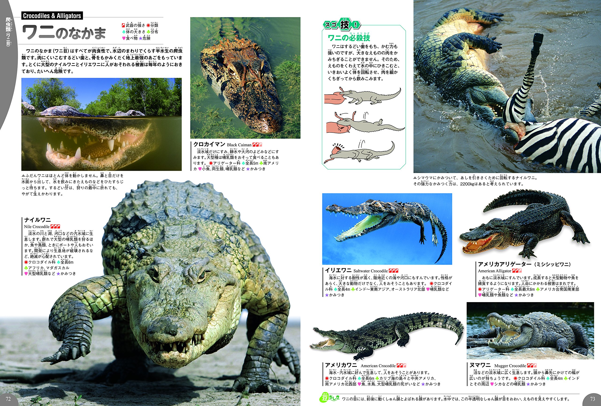 欠品カラー再入荷 学研の図鑑 Live 動物 昆虫 魚 危険生物 Sale 送料無料 The Perfume Lounge Com