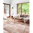 Loloi II Layla Collection, LAY-11, Cinnamon/Sage, 9'-0" x 12'-0", .13" Thick, Area Rug, Soft, Durable, Vintage Inspired, Distressed, Low Pile, Non-Shedding, Easy Clean, Printed, Living Room Rug