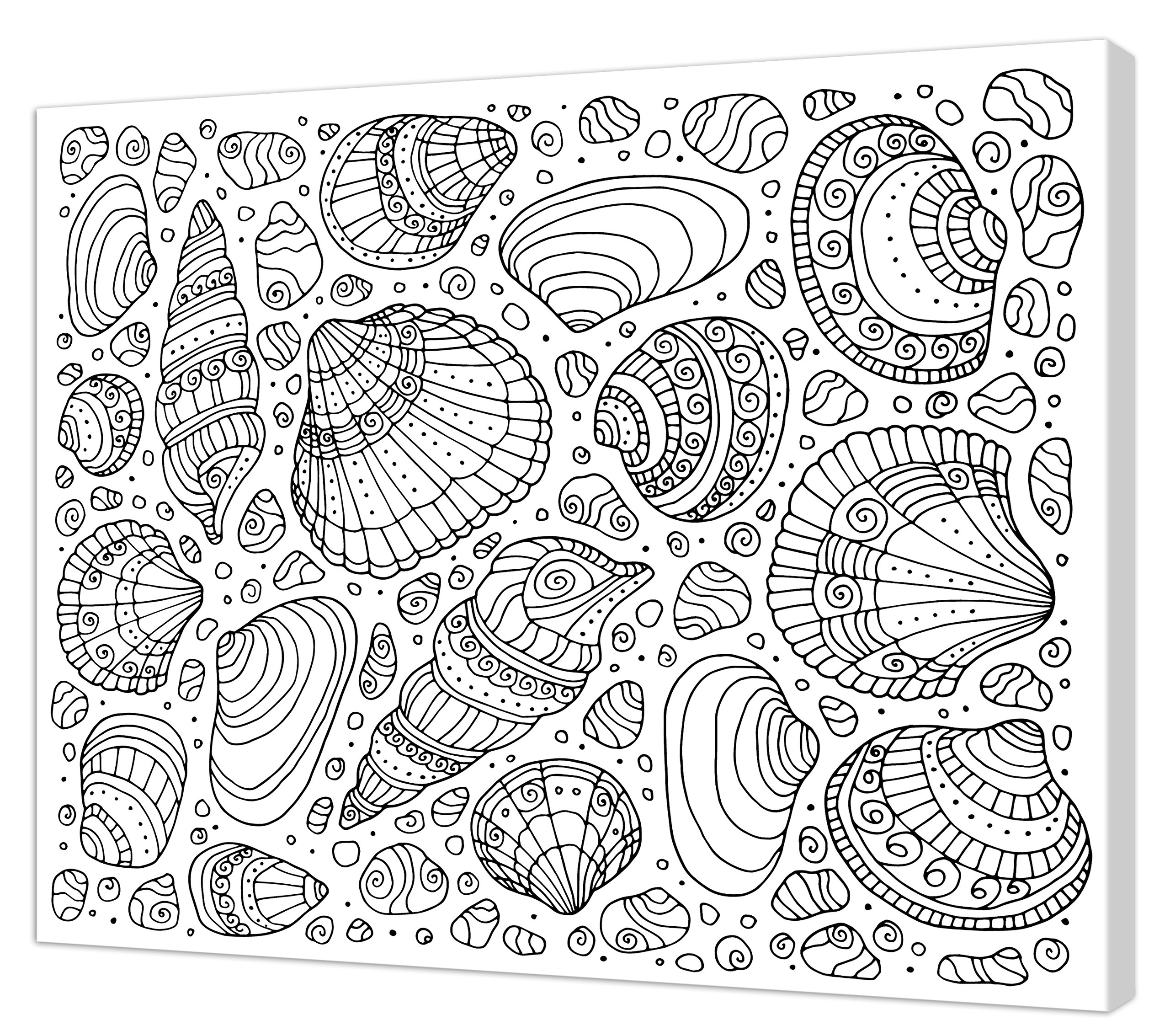 Pintcolor Coloring Printed Canvas Frame, Wood, White/Black, 50x40x3.5 cm — image 1